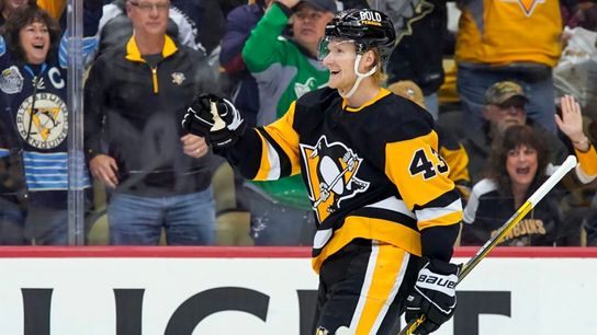 Drive to the Net: Heinen's return provides versatility to line combos taken at PPG Paints Arena (Drive to the Net)